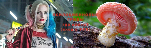 первитин Няндома